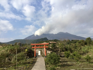 Torii gate buried in the volcanic ash of Sakurajima 