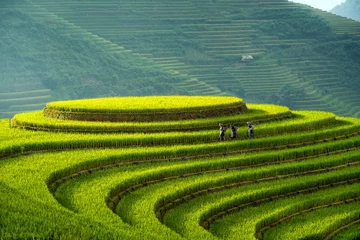Foto op Plexiglas Rijstvelden Mooie stap van rijstterras peddelveld in zonsondergang en zonsopgang op Mam Xoi hill, Mu Cang Chai, Vietnam. Mu Cang Chai is prachtig in de natuur in Vietnam, Zuidoost-Azië. Reisconcept. Luchtfoto