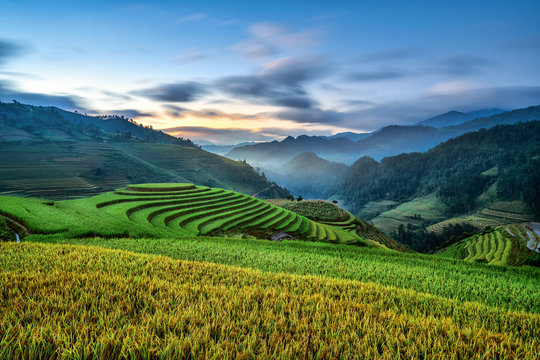 Beautiful step of rice terrace paddle field in sunset and dawn at Mam Xoi hill, Mu Cang Chai, Vietnam. Mu Cang Chai is beautiful in nature place in Vietnam, Southeast Asia. Travel concept. Aerial view