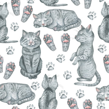 Pattern of gray cats and paws