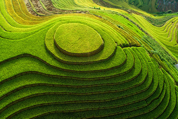 Beautiful step of rice terrace paddle field in sunset and dawn at Mam Xoi hill, Mu Cang Chai,...