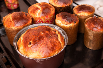 fresh bread with a golden crust, close-up