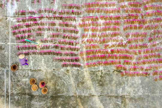 Aerial view of Incense sticks drying outdoor with Vietnamese woman wearing conical hat in north of Vietnam. Royalty high quality free stock image from above