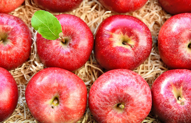 A lot of fresh Red Gala apples with green leaf on Straw or wood wool shavings packaging in the supermarket.