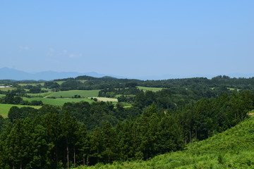 Obraz premium 月山高原牧場 ／ 山形県鶴岡市羽黒町にある月山高原牧場は、約100haの緑のジュウタンが広がり、雄大な高原の中で牛や羊を眺められます。高原からの眺めは最高で、ひそかな観光ポイントになっています。