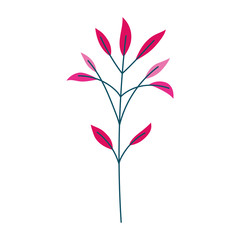 branch leaves foliage natural botanical siolated icon white background