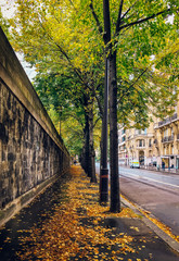 Paris, France - A Parisian corner in autumn with yellow leaves 
