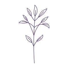 branch leaves foliage natural botanical siolated icon white background line style