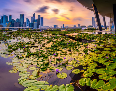 Marina Bay Sands, Singapore 2019 - Reflection of the iconic building of Singapore during blue hour. Taken from Art and Science Museum, view of the central business district 