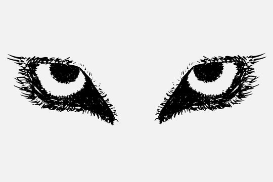 The eyes of a wild animal drawn by hand. The wolf's eyes drawn in pencil. An aggressive look forward.