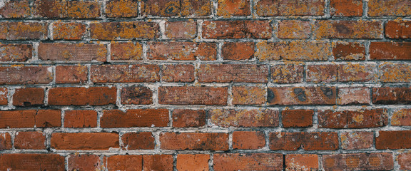 The wall is made of old orange bricks, the masonry is uneven.