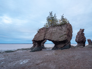 Hopewell Rocks3