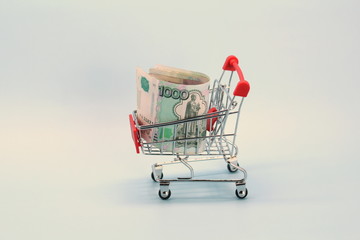 Shopping cart with Russian money. Paper bills and a souvenir shopping basket.