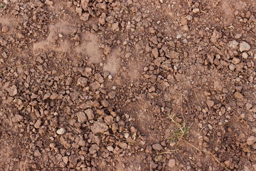 Desert farming soil texture.
