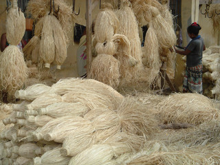 Trie puis préparation de pelote de sisal (raphia) à Mahajanga - Madagascar. © michel BORDIEU