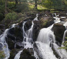 Obraz premium Slow waterfall trees