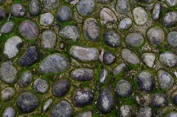 pabble stones with green moss
