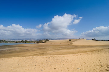 Fototapeta na wymiar Sand dunes in National park of Maspalomas, Gran Canaria
