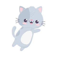 kawaii cute cat mascot cartoon isolated icon