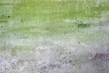 beautiful grunge travertine like stucco texture for background use.