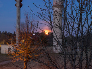 the moon jumped through tree branches