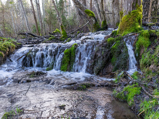 Fototapeta premium landscape with small and wild river