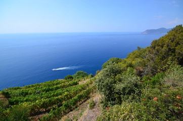 landscape of cinque terre Italy