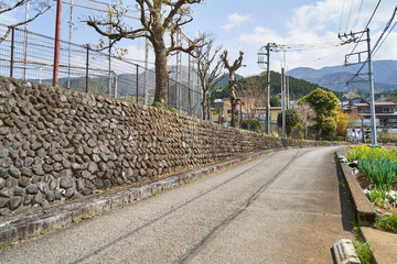 神奈川県　青根中学校の通学路
