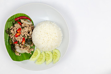 Thai food, fried rice basil pig. Fried minced pork with steam jasmine rice on white plate. delicious Fried minced pork on Banana tree leaves.