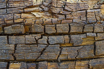 Texture of old ruined board close up