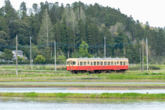 小湊鉄道のあけぼの (流紋) | monsterdog.com.br