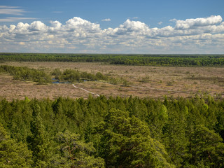 landscape from the observation tower to the forest and swamp