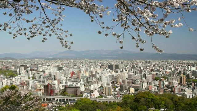 花岡山からみた熊本市街地