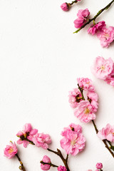 Naklejka na ściany i meble ピンクの花　Bright pink spring peach blossoms