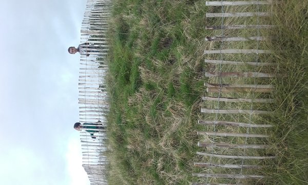 Boys Walking By Fence At Airfield Estate