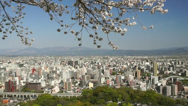 花岡山からみた熊本市街地