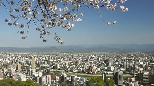 花岡山からみた熊本市街地