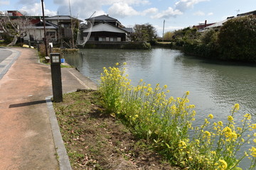 春の水郷柳川　