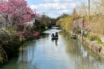 春の水郷柳川　