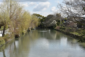春の水郷柳川　