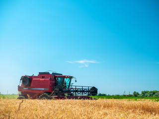 Wheat harvesting in the summer. Red harvester working in the field. Golden ripe wheat harvest...