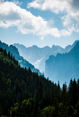 Misty mountains silhouette on the blue sky and green summer forest with pines and fir-trees. We have strong desire to camp there every year because of clear wild nature