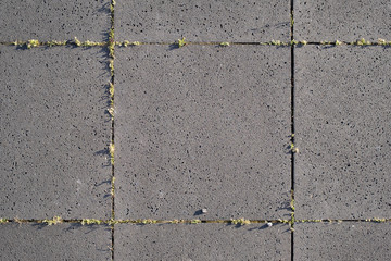 Obraz premium Grey stone on grass. Close up