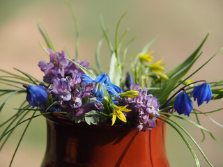 Bouquet of flowers corydalis solida and scilla siberica in a vase, closeup. A bunch of delicate spring flowers on a sunny day. Romantic floral template for greetings