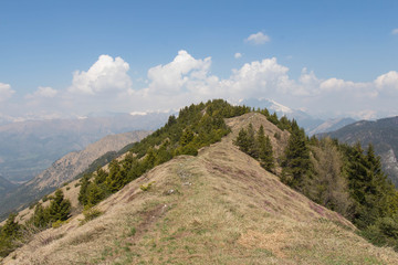Mountain landscape. Dry grass on slopes with trees, white mountain peaks and clouds on background.