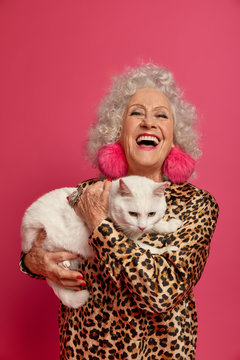 Pleased wrinkled woman with curly grey hair, makeup, laughs out from positive emotions, hugs white cat, dressed in shirt with leopard print, jewelry, cares about domestic pet, happy to retire.