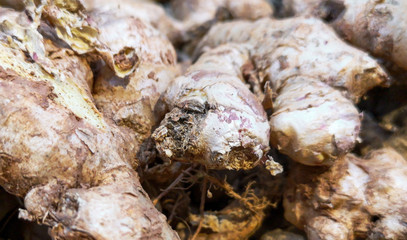 Ginger. Root for cooking as a background.