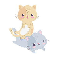 cute funny little cats kawaii cartoon character