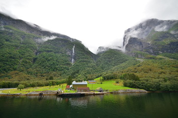 Obraz premium natural landscape of Flam Sognefjord in Norway