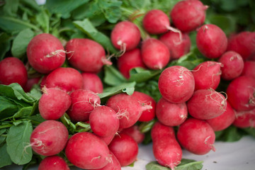 radishes on the market